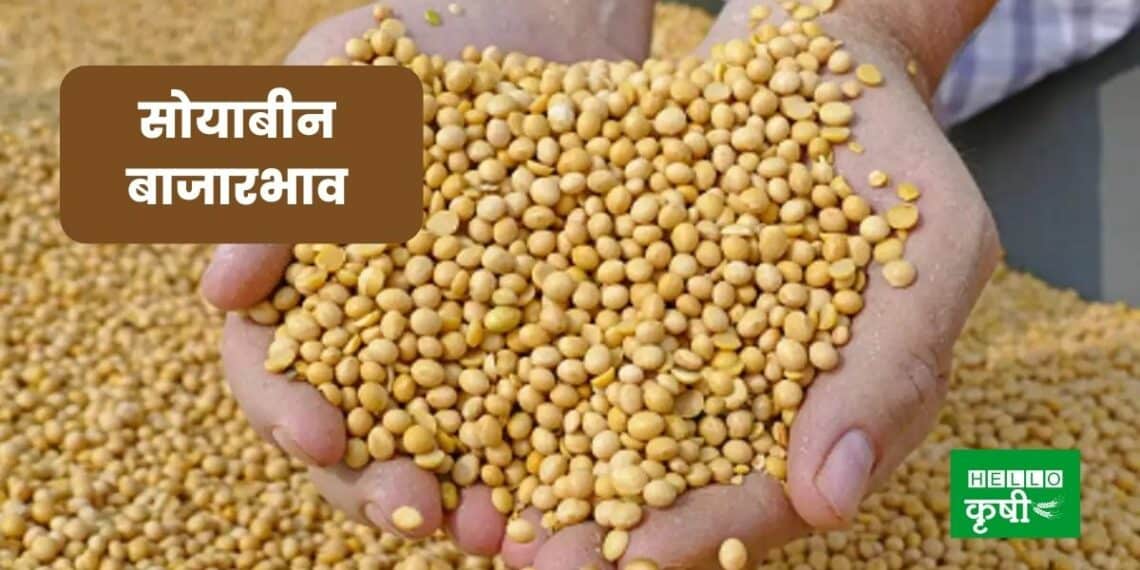 Soybean Bajar Bhav