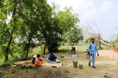 Cabinet Minister Shravan Kumars son Birbal Bigha Pvt. School where innocent children study up and down the tree 4